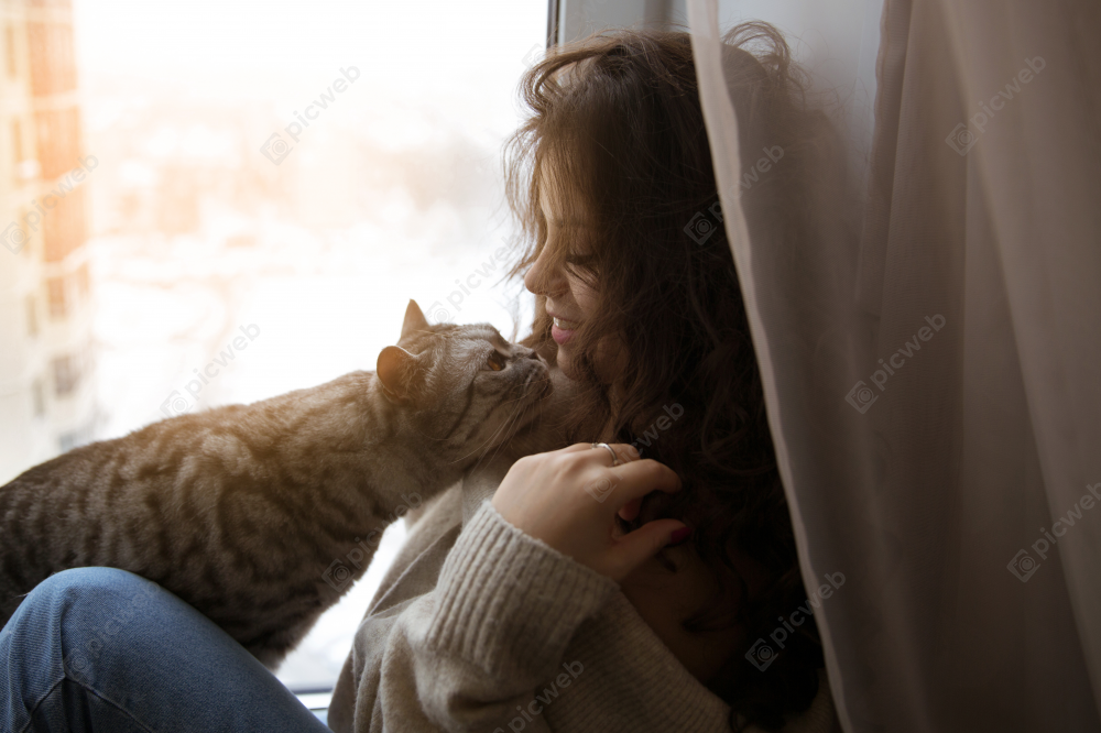 Кошка ласкается к девушке скачать Кошка ласкается к девушке